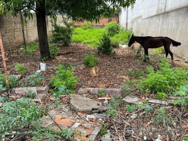Terreno venda em Indústrias, Sete Lagoas