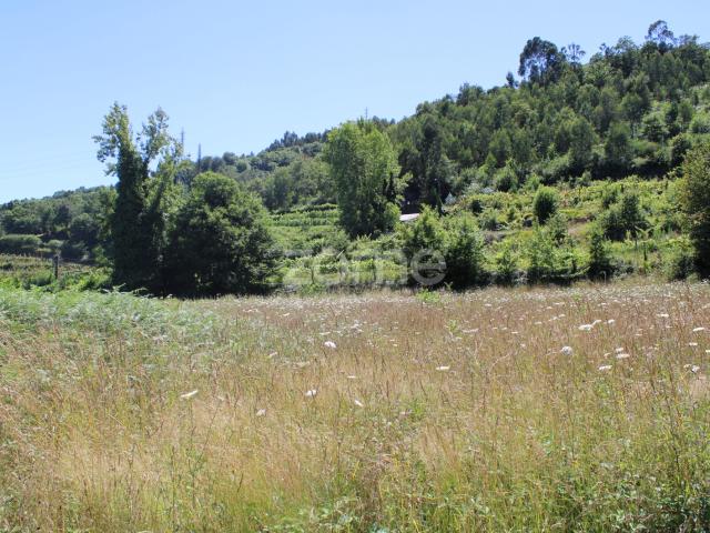 Terreno venda em Guimarães, Braga