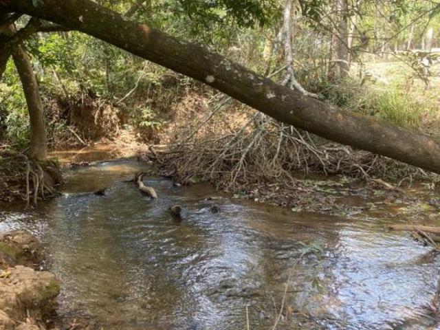 Terreno venda em Região Geográfica Imediata de Oliveira, Região Metropolitana de Belo Horizonte