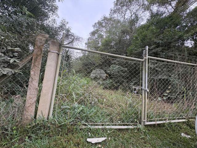 Terreno venda em Região Geográfica Imediata de Curitiba, Região Metropolitana de Curitiba