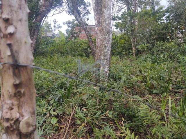 Terreno venda em Itanhaém, Região Geográfica Intermediária de São Paulo