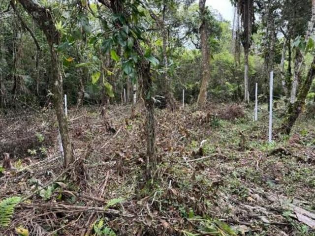 Terreno venda em Região Imediata de Santos, Região Metropolitana da Baixada Santista