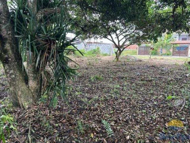 Terreno venda em Região Imediata de Santos, Região Metropolitana da Baixada Santista
