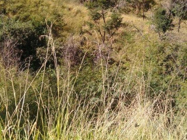 Terreno venda em Região Geográfica Imediata de Belo Horizonte, Região Metropolitana de Belo Horizonte
