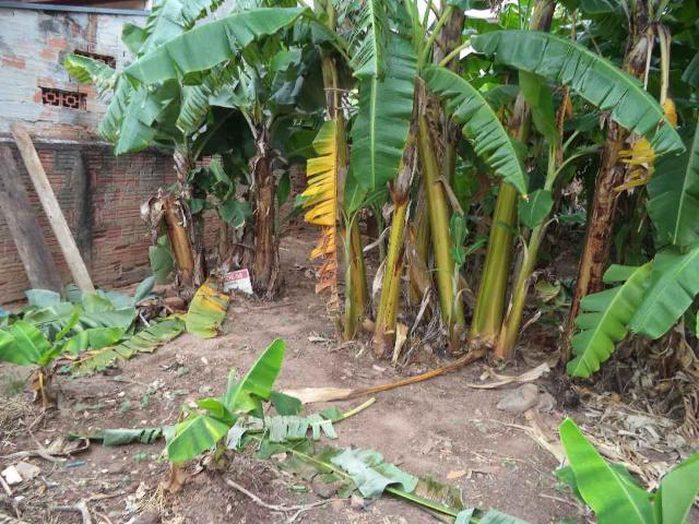 Terreno venda em Região Imediata de Campinas, Região Metropolitana de Campinas