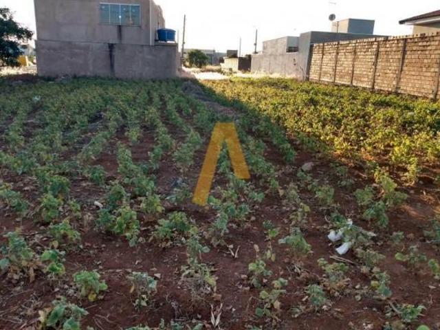 Terreno venda em Região Imediata de Ribeirão Preto, Região Metropolitana de Ribeirão Preto