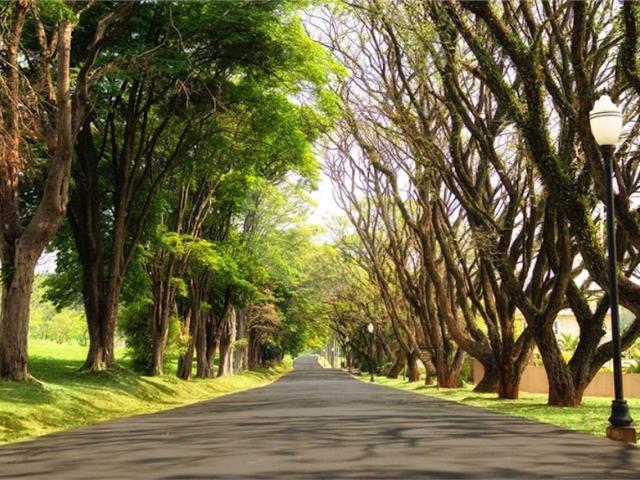 Terreno venda em Região Geográfica Imediata de Maringá, Sarandi