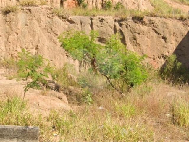 Terreno venda em Região Geográfica Imediata de Maringá, Sarandi