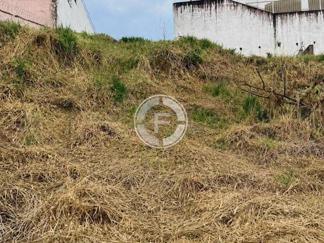 Terreno venda em Vila Radaelli, São Sebastião do Paraíso