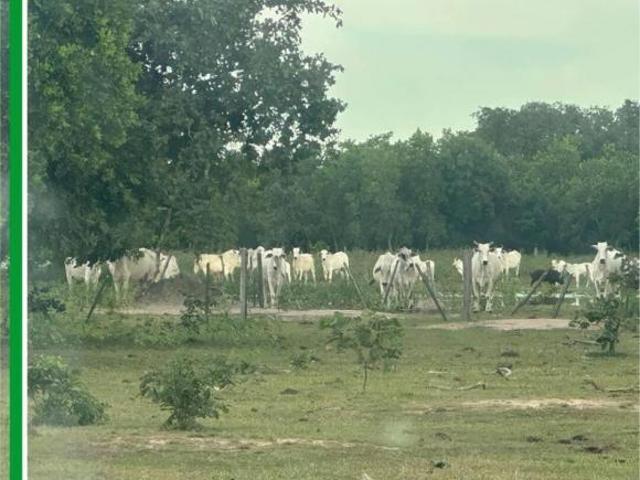 Terreno venda em Região Geográfica Imediata de Rondonópolis, Rondonópolis