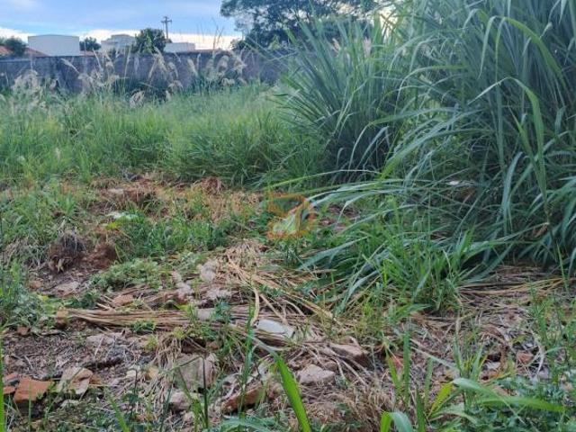 Terreno venda em Região Imediata de Mogi Guaçu, Região Sudeste