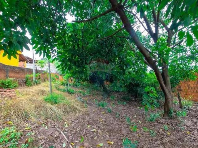 Terreno venda em Região Imediata de Rio Claro, Região Metropolitana de Piracicaba