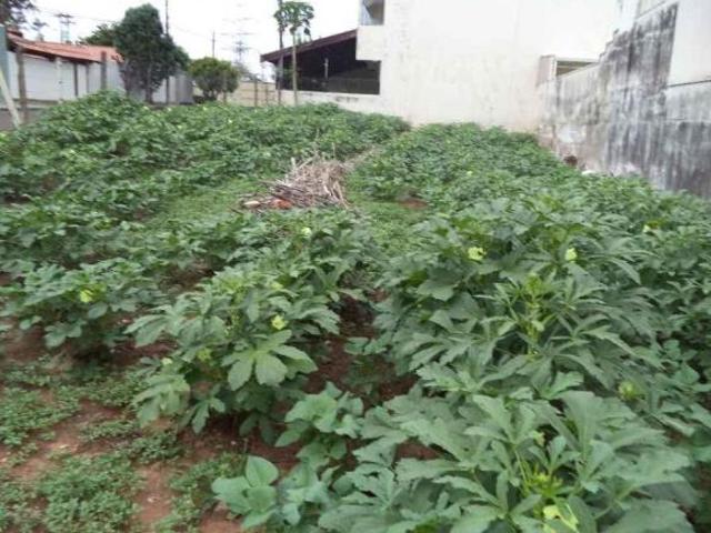 Terreno venda em Região Imediata de Campinas, Região Metropolitana de Campinas
