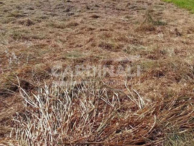 Terreno venda em Região Imediata de Araraquara, Araraquara