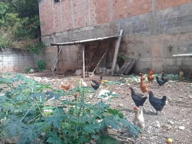 Terreno venda em Região Geográfica Imediata de Belo Horizonte, Região Metropolitana de Belo Horizonte
