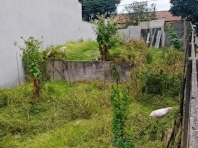 Terreno venda em Região Imediata de Taubaté-Pindamonhangaba, Região Metropolitana do Vale do Paraíba e Litoral Norte