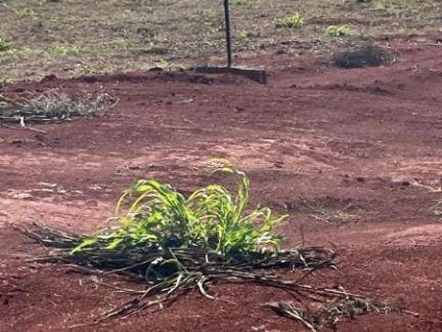 Terreno venda em Região Imediata de Campinas, Região Metropolitana de Campinas