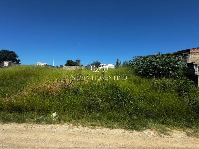 Terreno venda em Região Imediata de Taubaté-Pindamonhangaba, Região Metropolitana do Vale do Paraíba e Litoral Norte