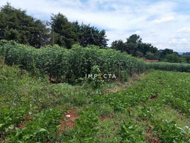 Terreno venda em Região Geográfica Imediata de Pouso Alegre, Pouso Alegre