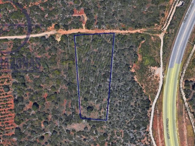 Terreno venda em Loulé, Faro