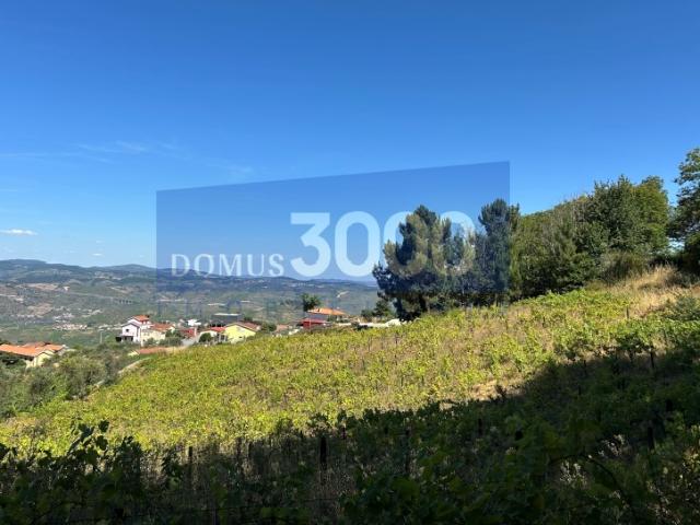 Terreno venda em Torre de Cima, Peso Da Régua