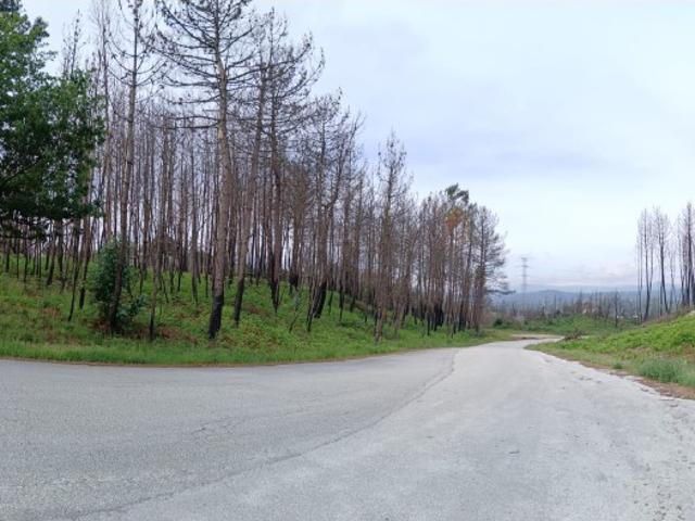 Terreno venda em Castro Daire, Viseu