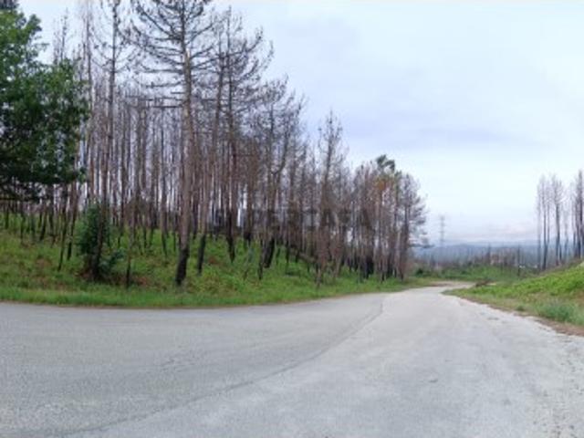 Terreno venda em Castro Daire, Viseu