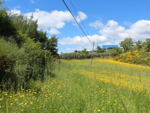 Terreno venda em Lamas, Bragança