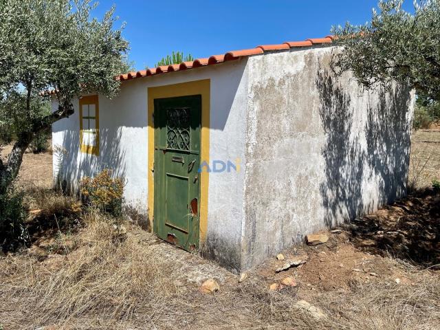 Terreno venda em Castelo Branco