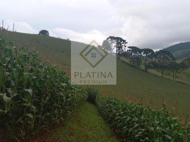 Terreno venda em Maria da Fé, Região Geográfica Intermediária de Pouso Alegre