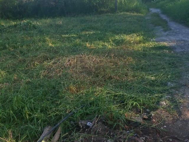 Terreno venda em Região Geográfica Imediata de Paranaguá, Matinhos