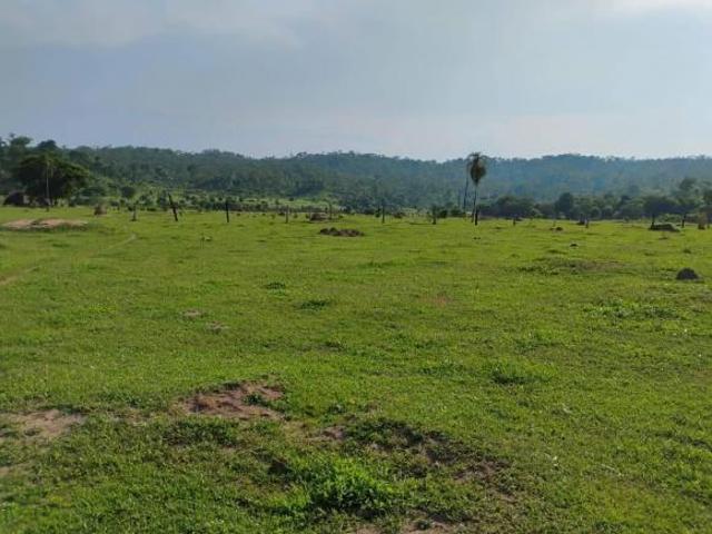 Terreno venda em Matupá, Região Geográfica Intermediária de Sinop