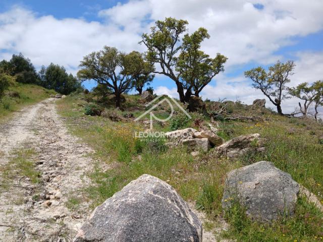 Terreno venda em Castelo Branco, Idanha-a-nova
