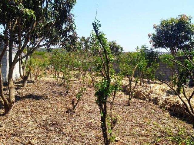 Terreno venda em Região Geográfica Imediata de Belo Horizonte, Região Metropolitana de Belo Horizonte