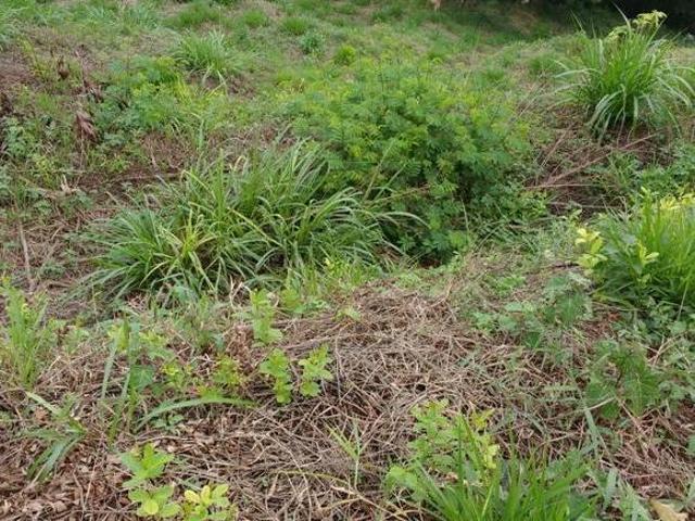 Terreno venda em Região Geográfica Imediata de Belo Horizonte, Região Metropolitana de Belo Horizonte
