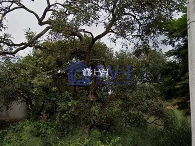 Terreno venda em Dores de Guanhães, Região Geográfica Intermediária de Governador Valadares