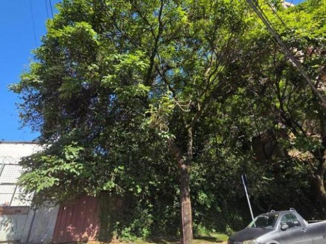 Terreno venda em Ouro Preto, Belo Horizonte