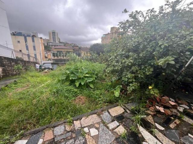Terreno venda em Regional Noroeste, Belo Horizonte
