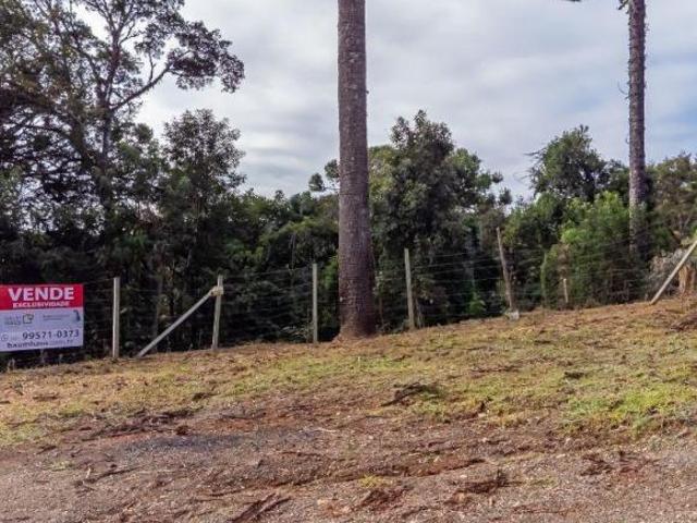Terreno venda em Região Geográfica Imediata de Curitiba, Região Metropolitana de Curitiba