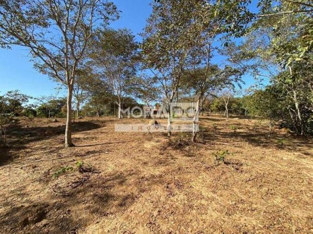 Terreno venda em Região Geográfica Imediata de Belo Horizonte, Região Metropolitana de Belo Horizonte