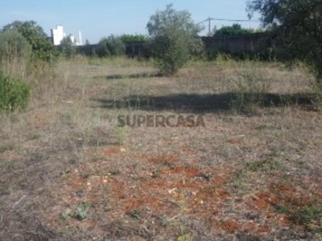 Terreno venda em Torres Novas, Santarém