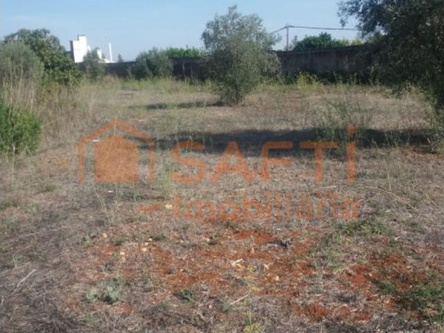 Terreno venda em Brogueira Terreno venda em Brogueira
