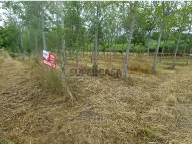 Terreno venda em Anadia, Aveiro