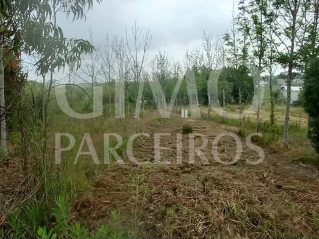 Terreno venda em Anadia, Aveiro