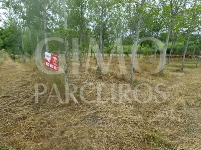 Terreno venda em Anadia, Aveiro