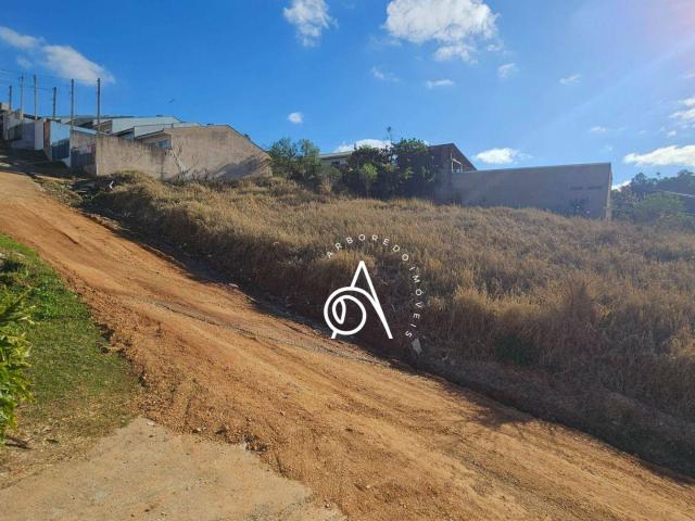 Terreno venda em Região Geográfica Imediata de Curitiba, Região Metropolitana de Curitiba