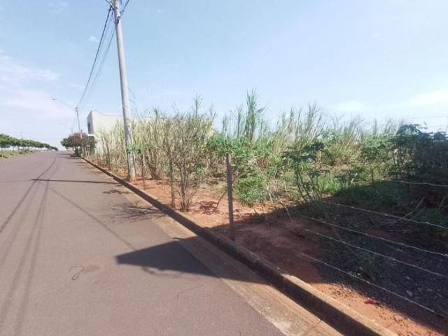 Terreno venda em Birigui