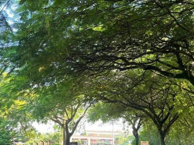 Terreno venda em Região Imediata de Jundiaí, Itupeva