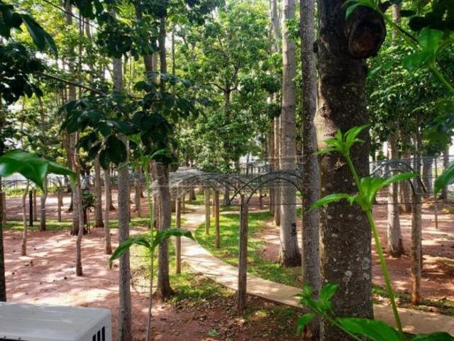 Terreno venda em Região Imediata de São Carlos, São Carlos
