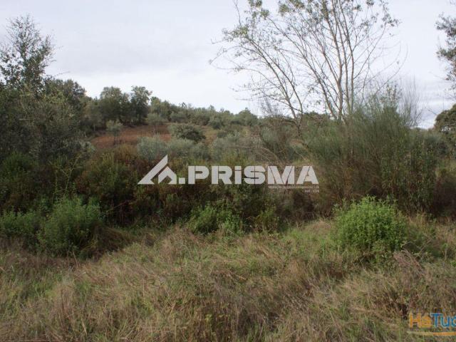 Terreno venda em Castelo Branco, Penamacor